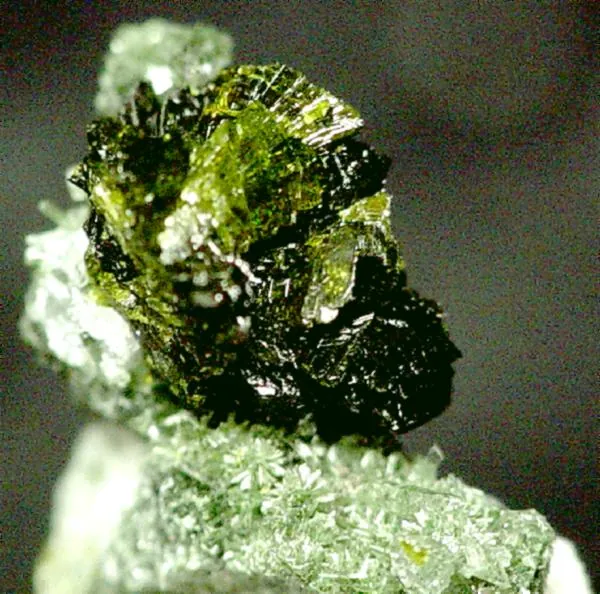 Pumpellyite-(Mg) crystals on quartz, Copper Falls Mine, Keweenaw County (raw mineral, not a polished greenstone)