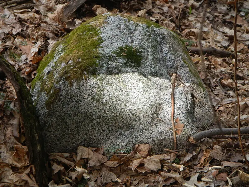 Photo: Curtis Abert, CC BY 2.0 Granitic glacial erratic, Porcupine Mountains Wilderness State Park