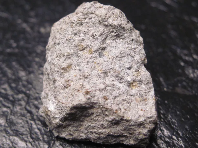 Photo: Jon Taylor, CC BY-SA 2.0 Allegan meteorite fragment (2.9 g). The Allegan meteorite fell in Allegan County, Michigan, in 1899