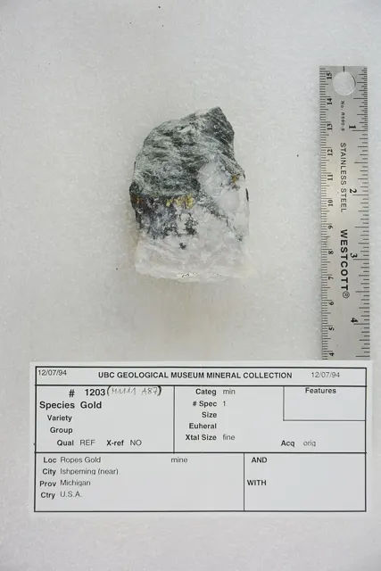 Photo: Pacific Museum of Earth from Canada, CC BY-SA 2.0 Ore specimen from the Ropes Gold Mine, Ishpeming