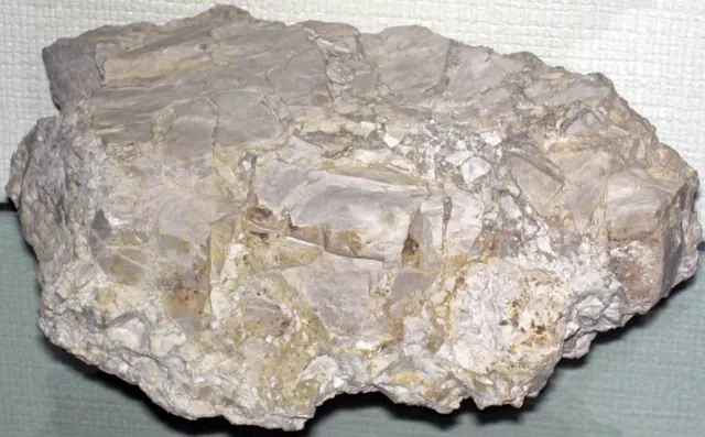 Photo: James St. John, CC BY 2.0 Dolostone breccia, Mackinac Breccia, near St. Ignace (museum display at Wittenberg University)