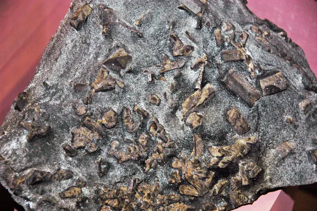 Photo: James St. John, CC BY 2.0 Staurolite-muscovite schist, Michigamme Formation, near Michigamme (Seaman Mineral Museum display)
