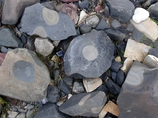Photo: Mike Beauregard from Nunavut, Canada, CC BY 2.0 Omarolluk rocks at their source, Belcher Islands, Hudson Bay