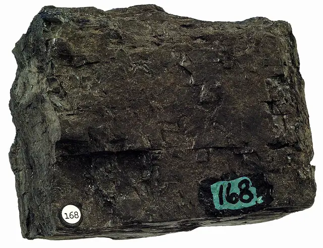 Bituminous coal (locality not given)