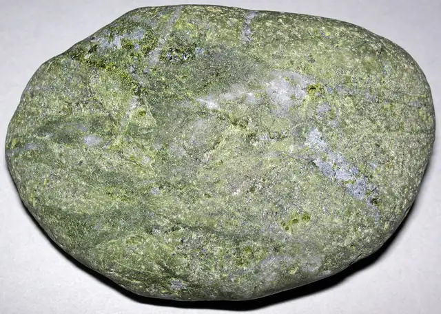 Epidote-rich beach cobble, Nahant, Massachusetts (not a Michigan specimen)