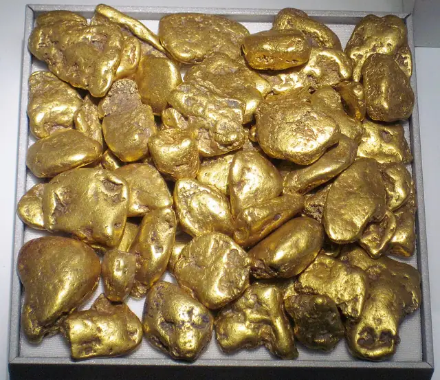 Placer gold pebbles, Washington State, museum display (not a Michigan specimen)