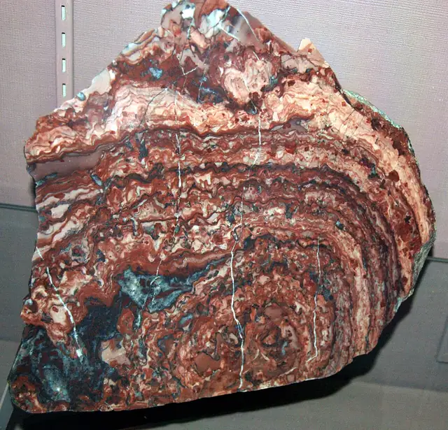 Stromatolitic dolostone, Kona Dolomite, Lindberg Quarry, Marquette