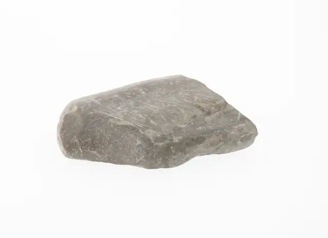 Limestone, Saginaw County, Smithsonian specimen