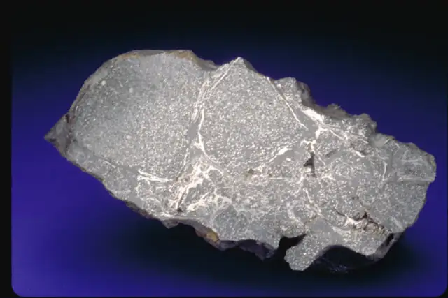 Rose City meteorite, which fell in Ogemaw County in 1921, Smithsonian specimen