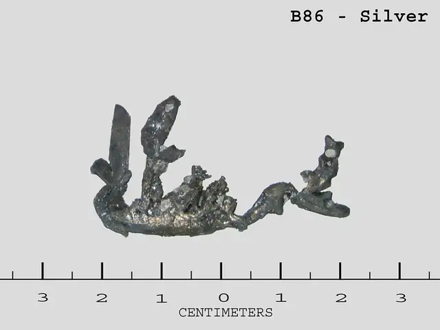 Native silver, Calumet, Houghton County, Smithsonian specimen