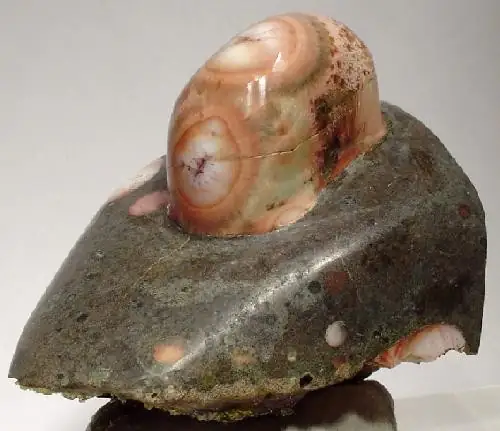 Sawed and polished thomsonite with eye pattern, Thomsonite Beach, Grand Marais, Minnesota (not a Michigan specimen)