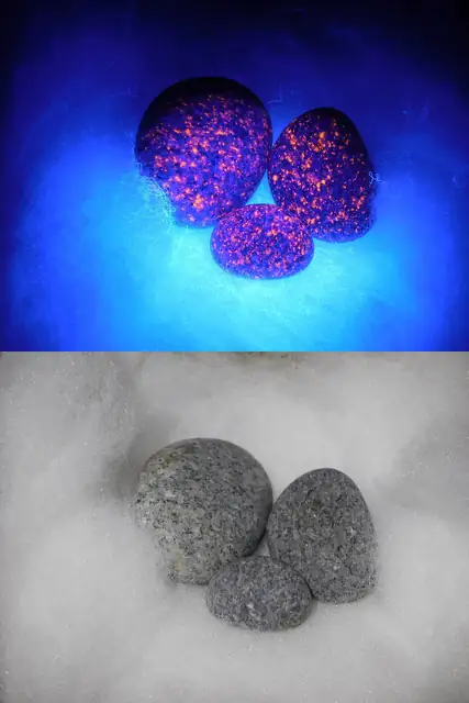 The same Yooperlites under UV light (top) and in normal light (bottom) (locality not given)